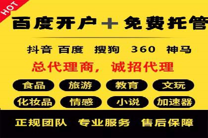 解析sem代运营公司经典案例：如何实现ROI最大化